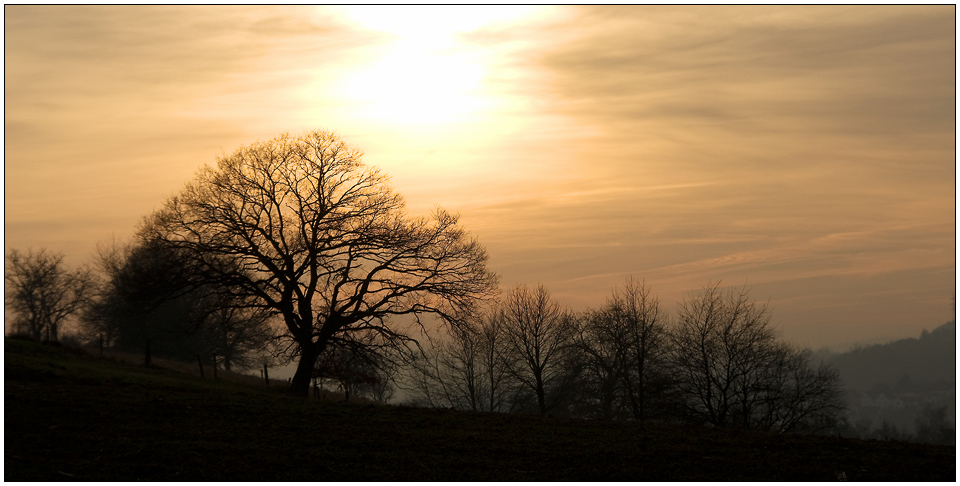 Heute im Odenwald ...