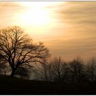 Heute im Odenwald ...