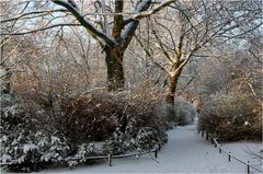 Heute im Park