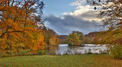 Heute im Park