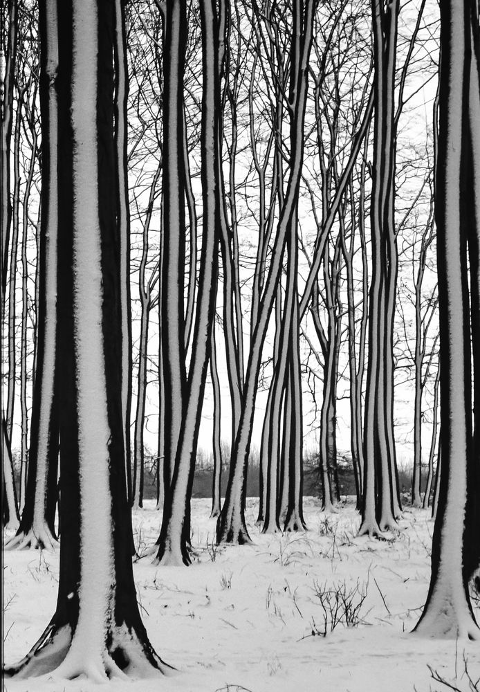 Heute im Sauerland.       ..DSC_8492