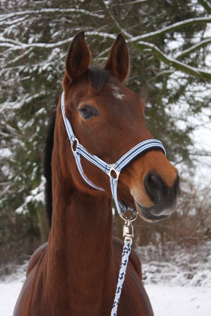 heute im Schnee