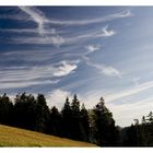 Heute im Schwarzwald