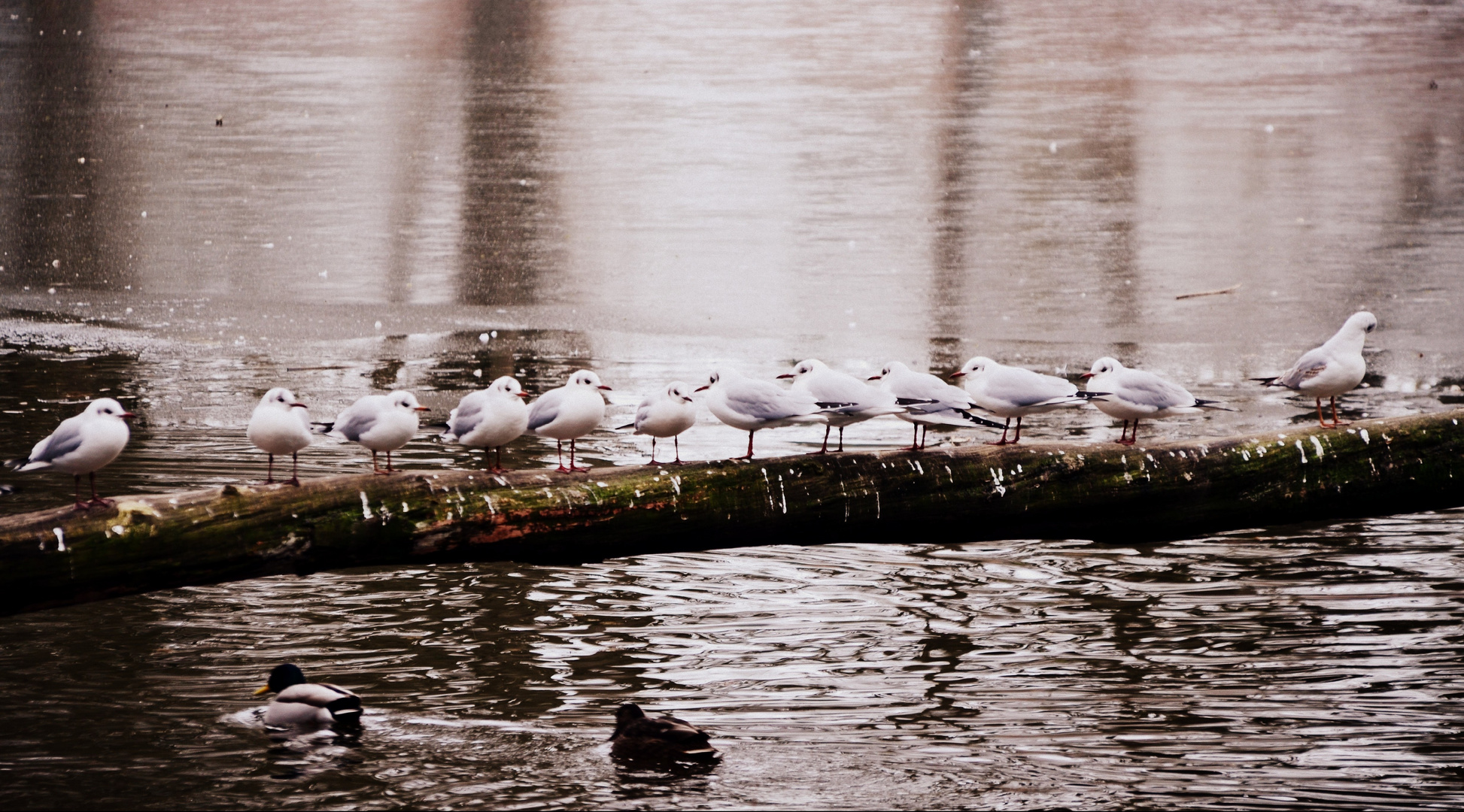 Heute im Stadtpark