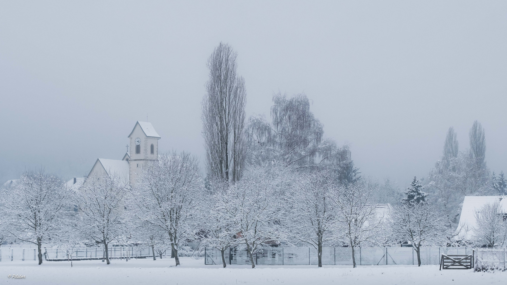 Heute im Sundgau