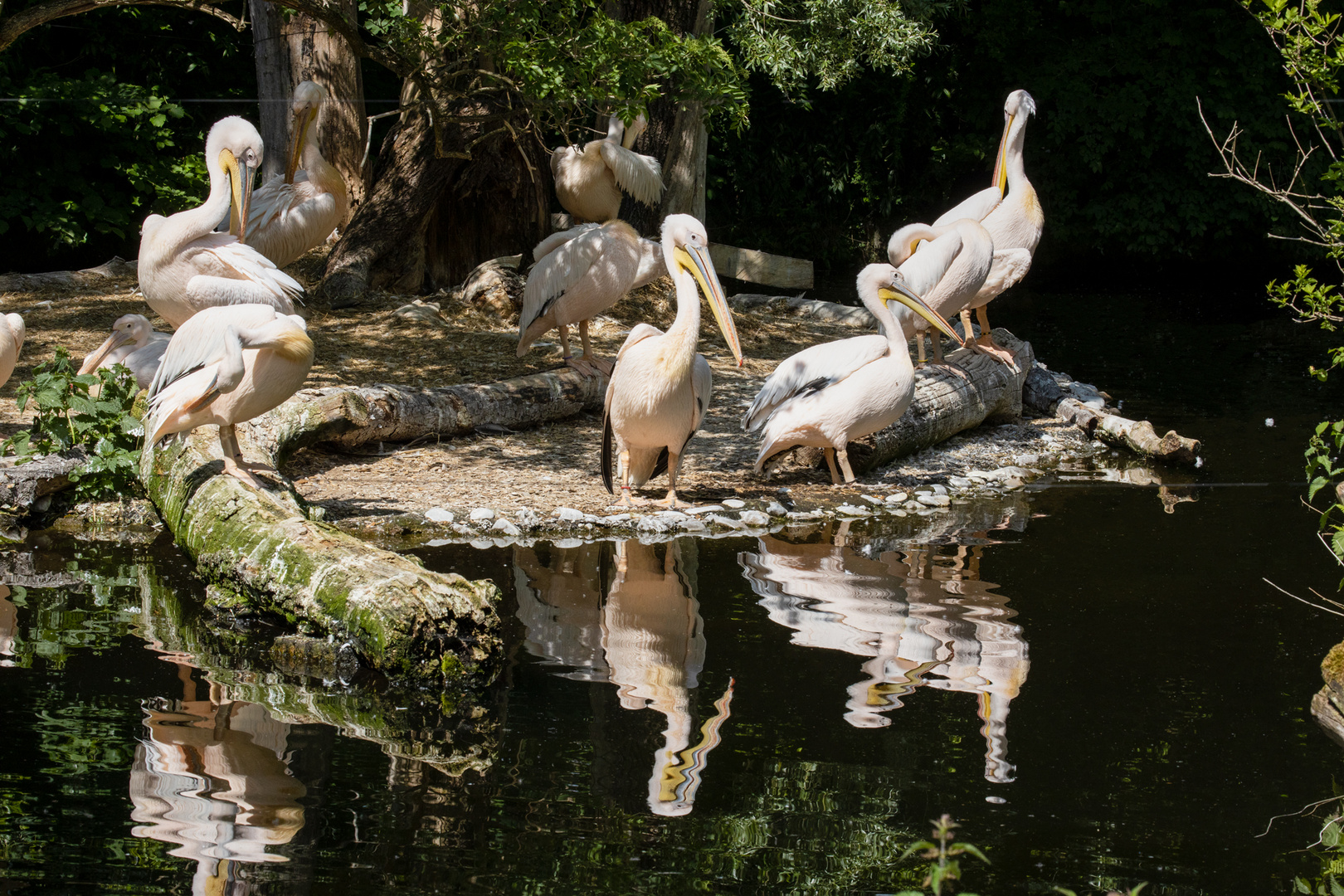 Heute im Tierpark