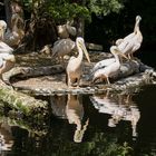 Heute im Tierpark