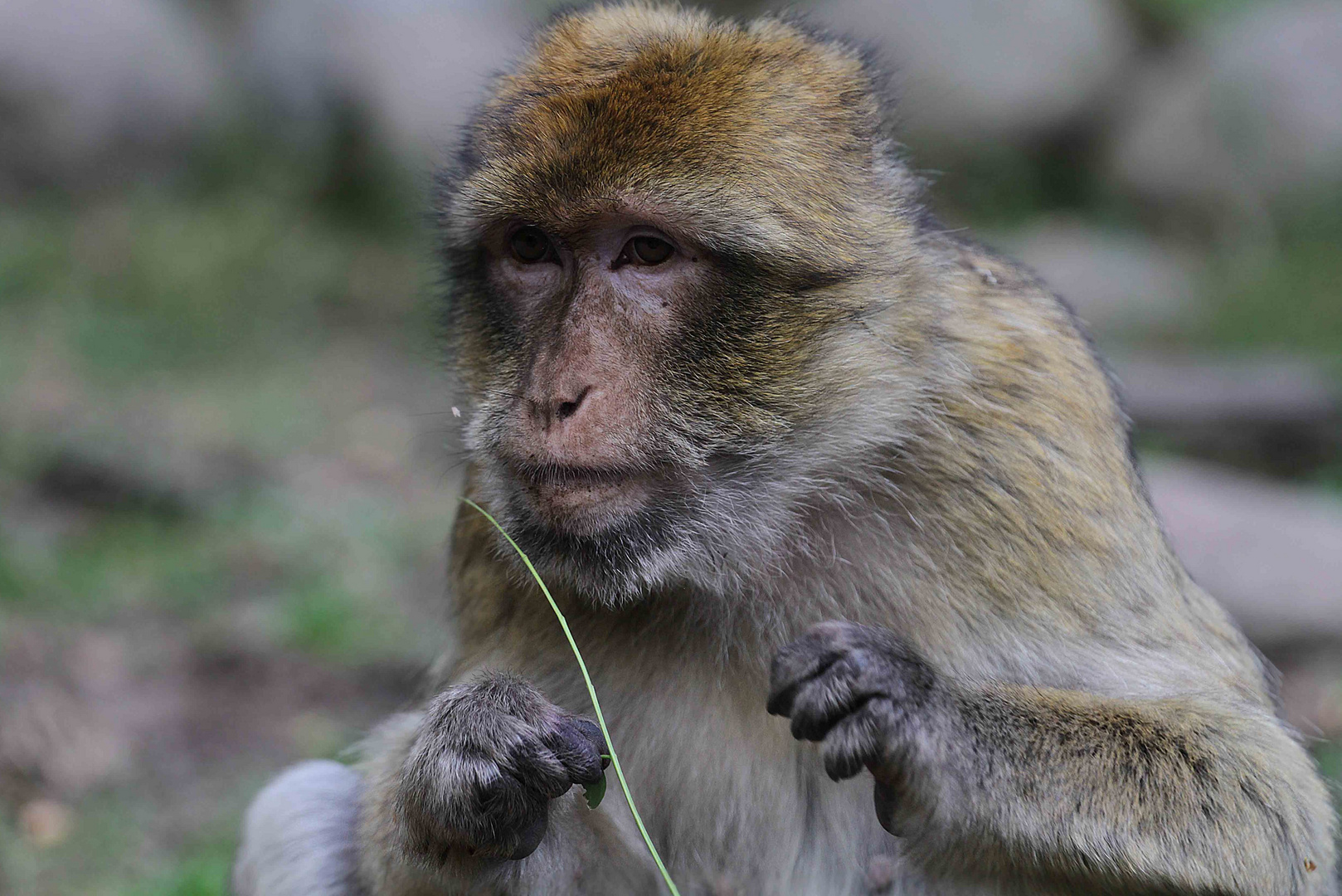 heute im Tierpark