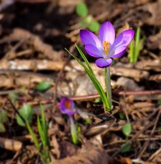 Heute im Wald