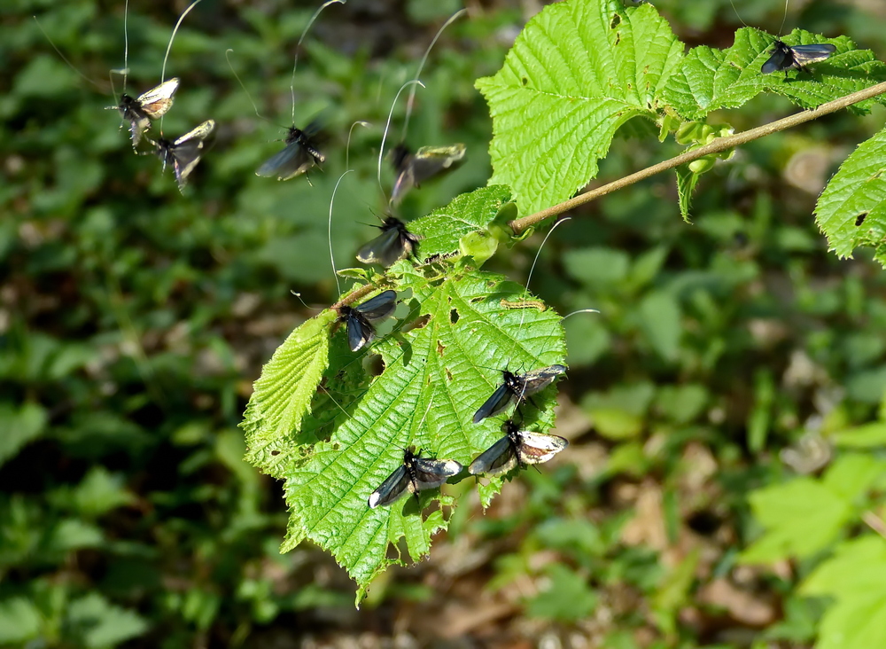 Heute im Wald