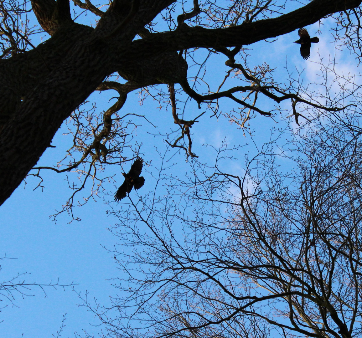 heute im Wald ...