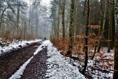 Heute im Wald