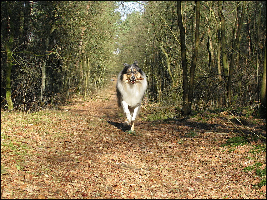 ...heute im Wald