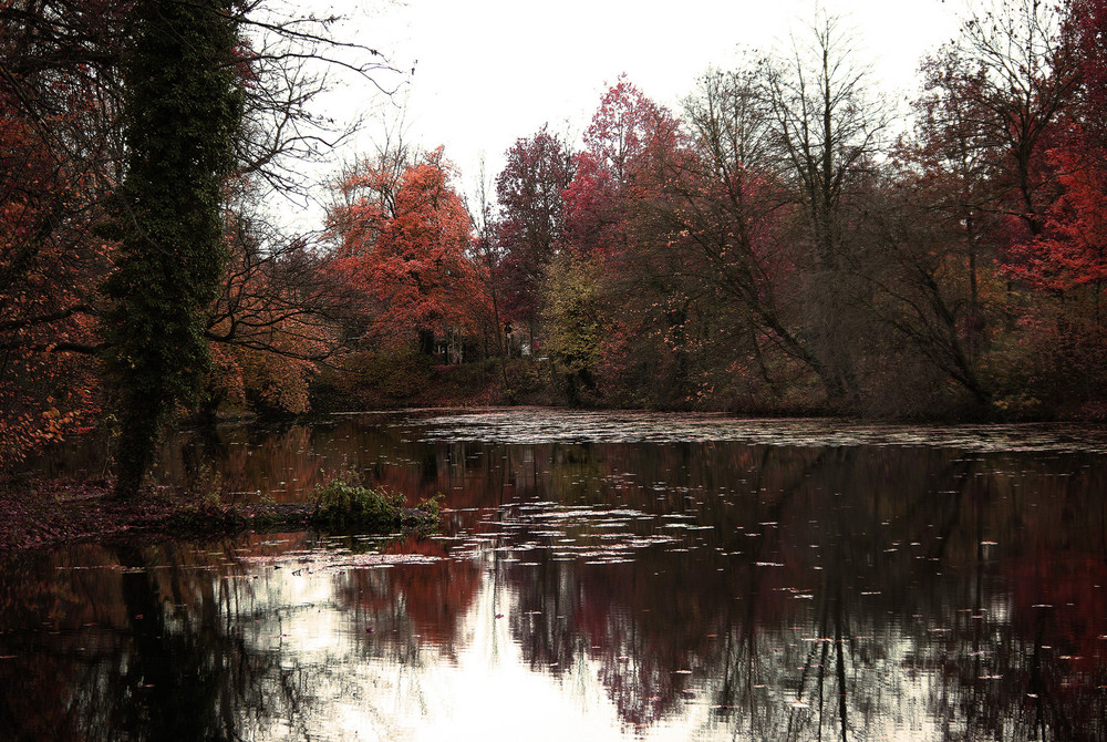 Heute im Wald