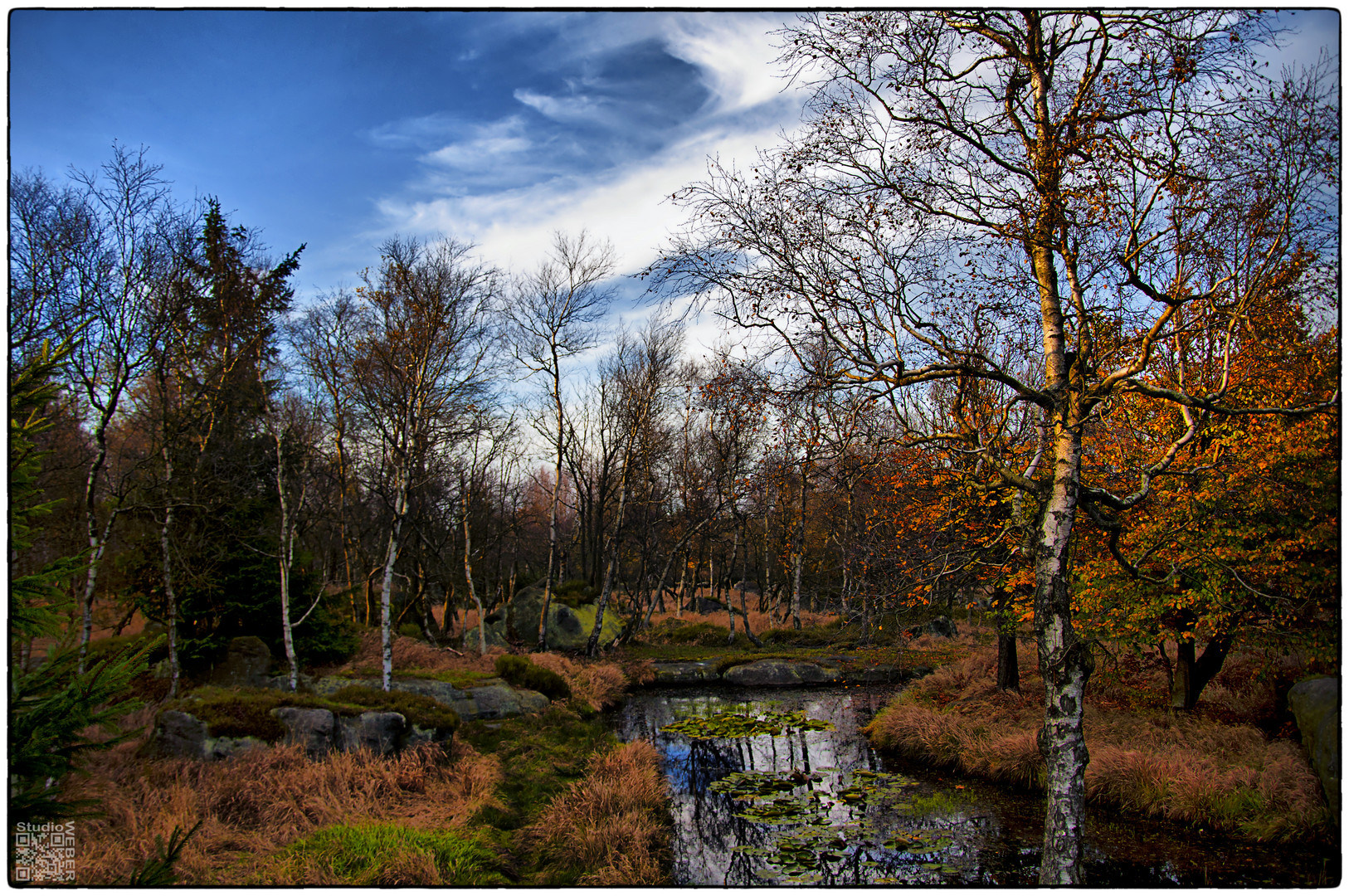 Heute im Wald..