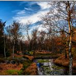 Heute im Wald..