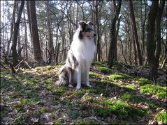 ...heute im Wald II