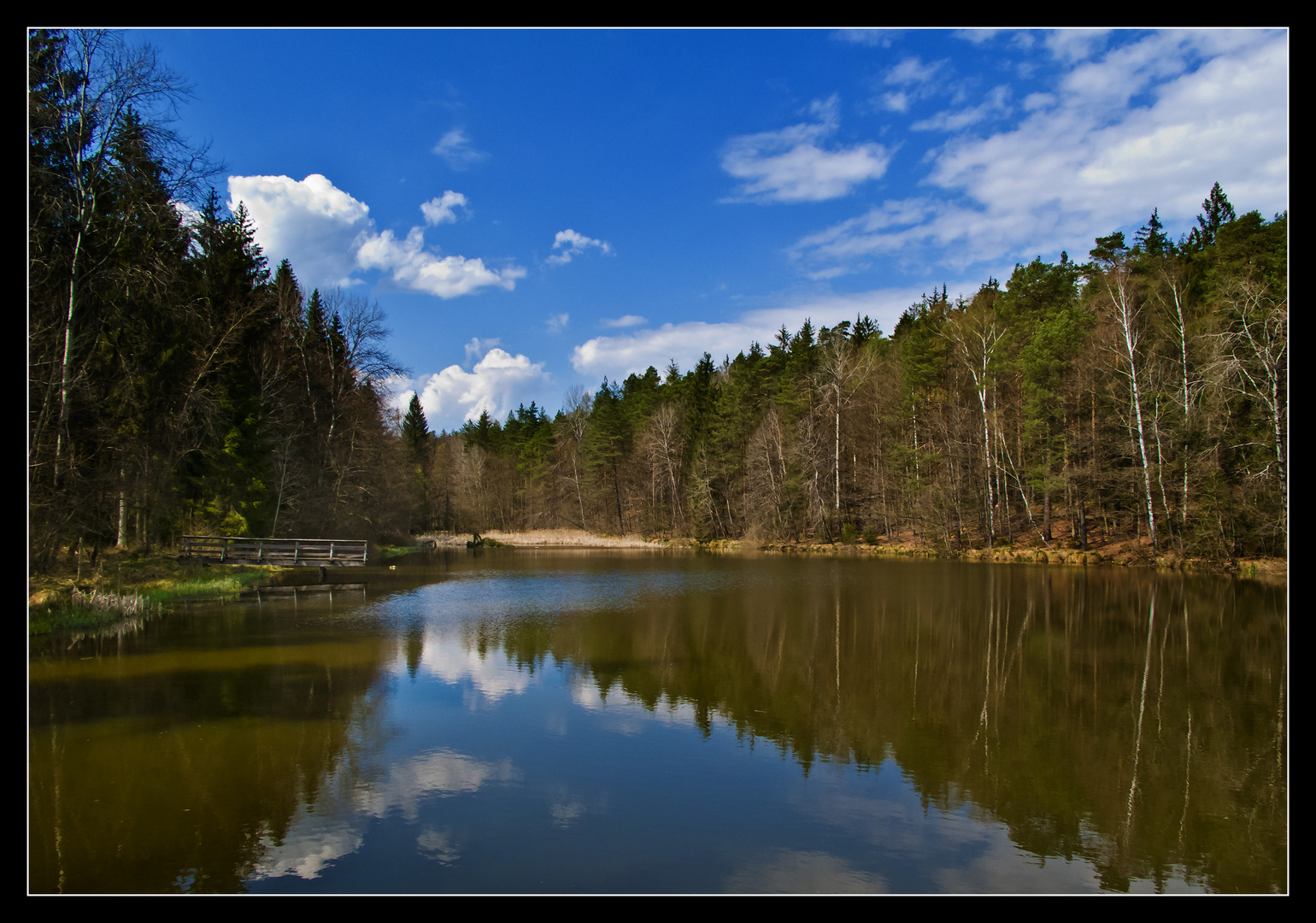 Heute im Wald_3