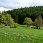 Heute im Wetteratal...