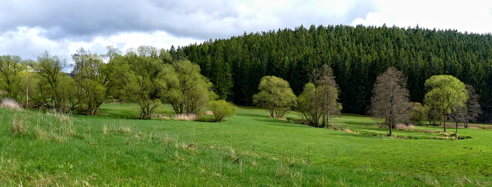 Heute im Wetteratal...