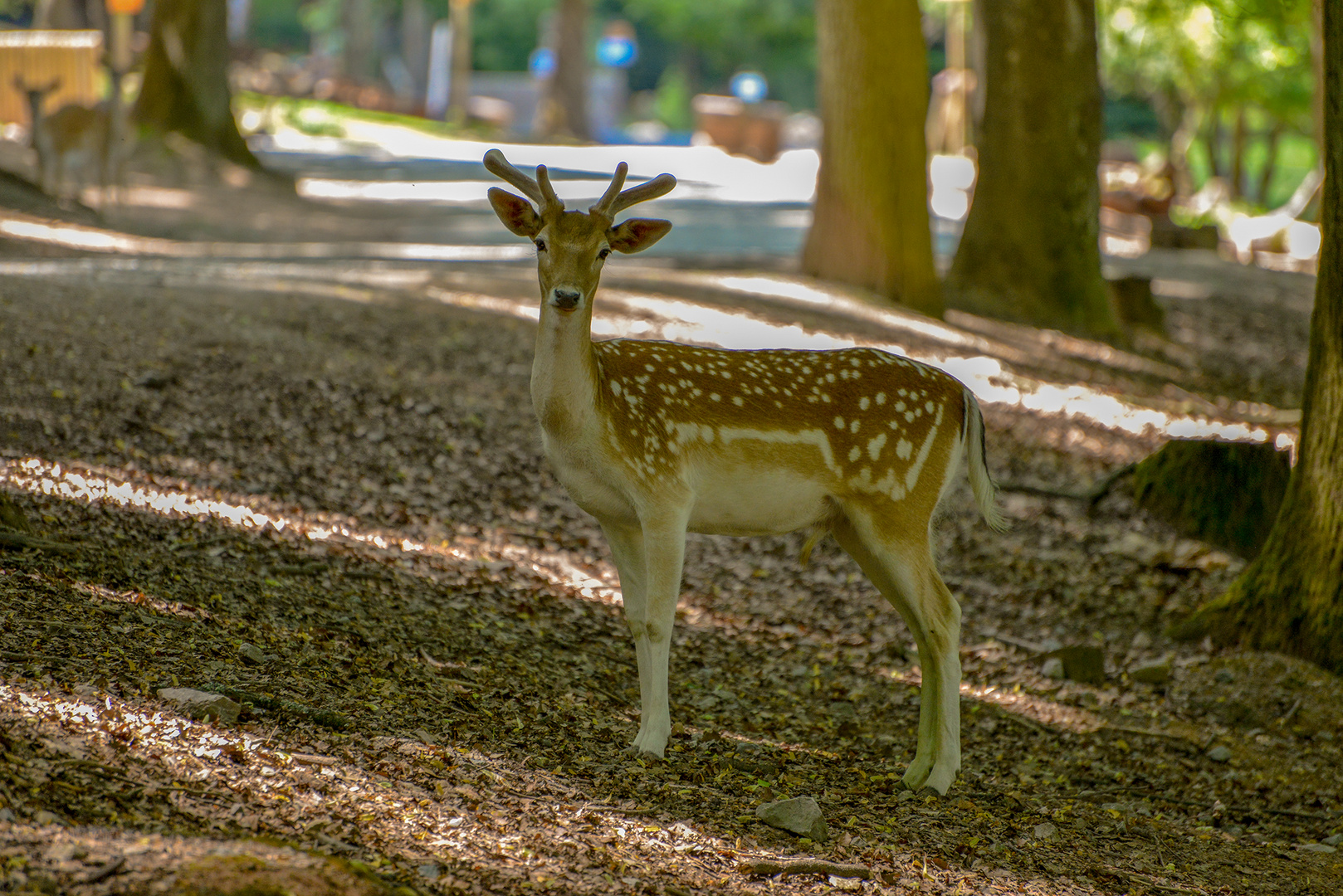 Heute im Wildpark