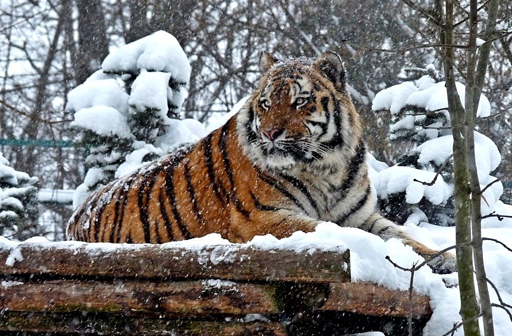 Heute im Zoo