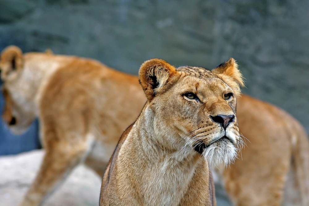 Heute im Zoo 5