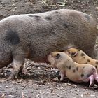 Heute im Zoo Aschersleben