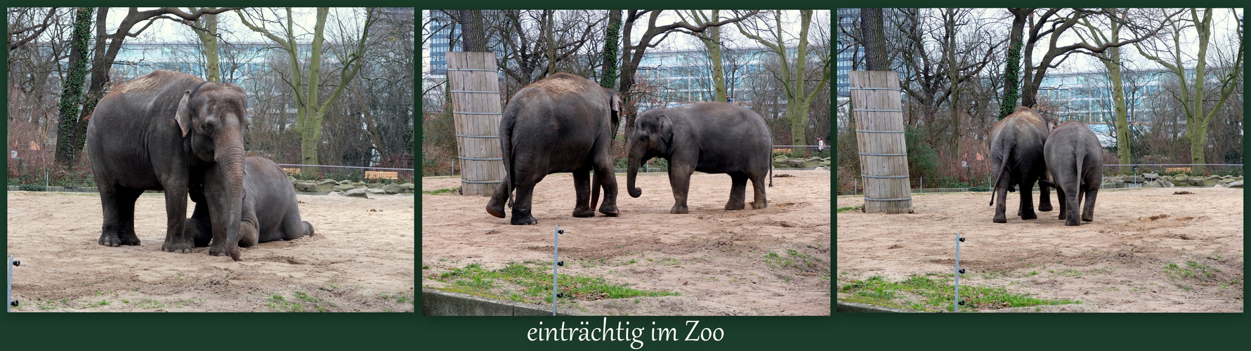 heute im Zoo Berlin