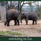 heute im Zoo Berlin