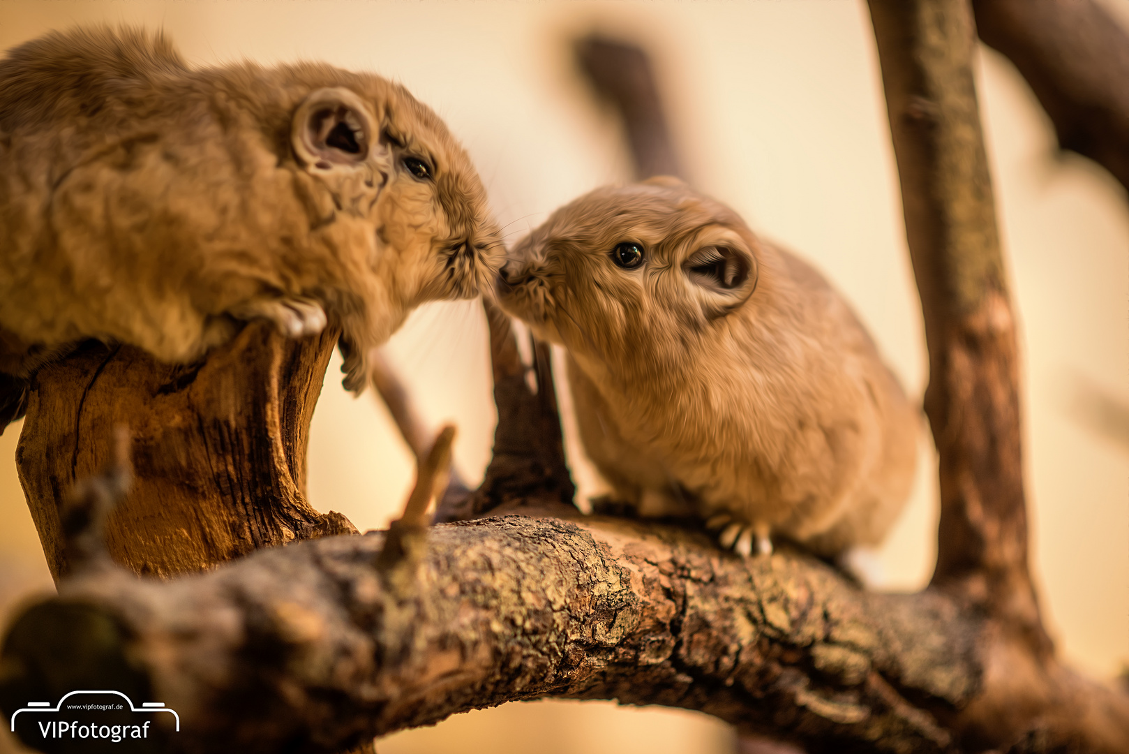 Heute im Zoo