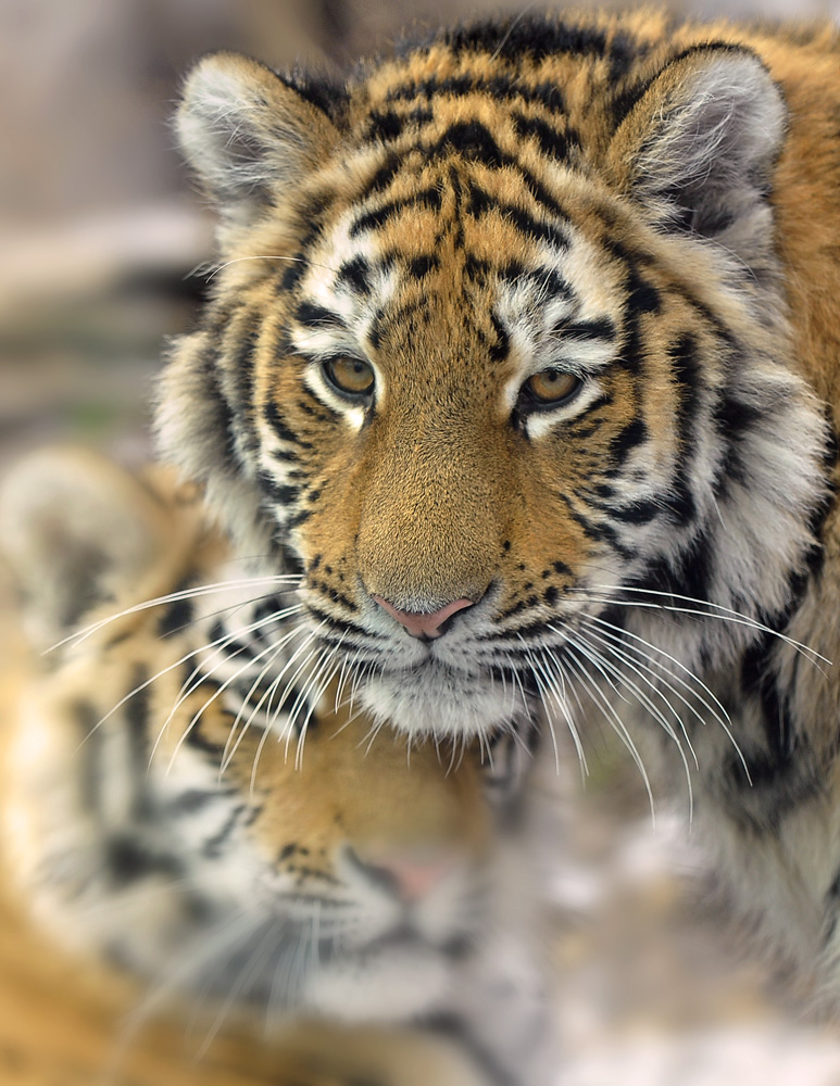 Heute im Zoo2