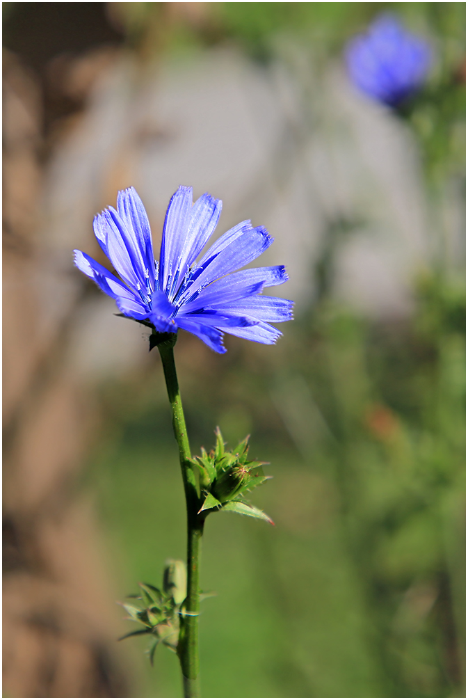 heute in blau