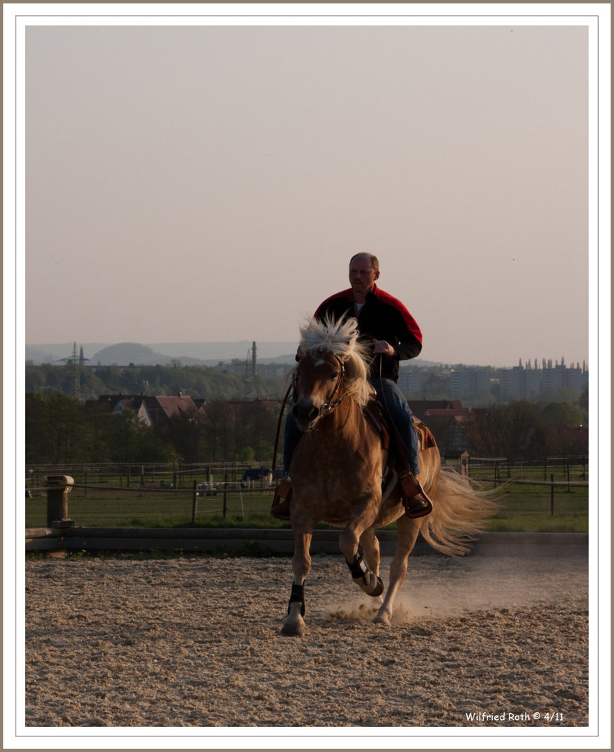 heute in der Abendsonne