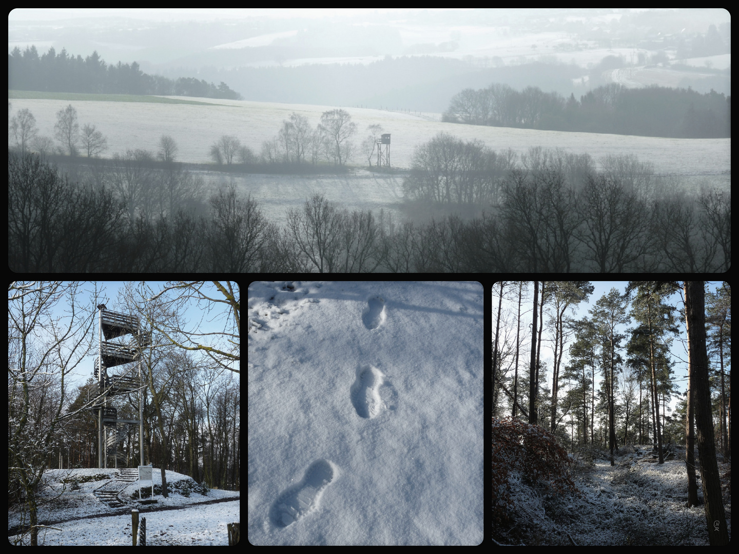 Heute in der Eifel