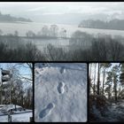 Heute in der Eifel