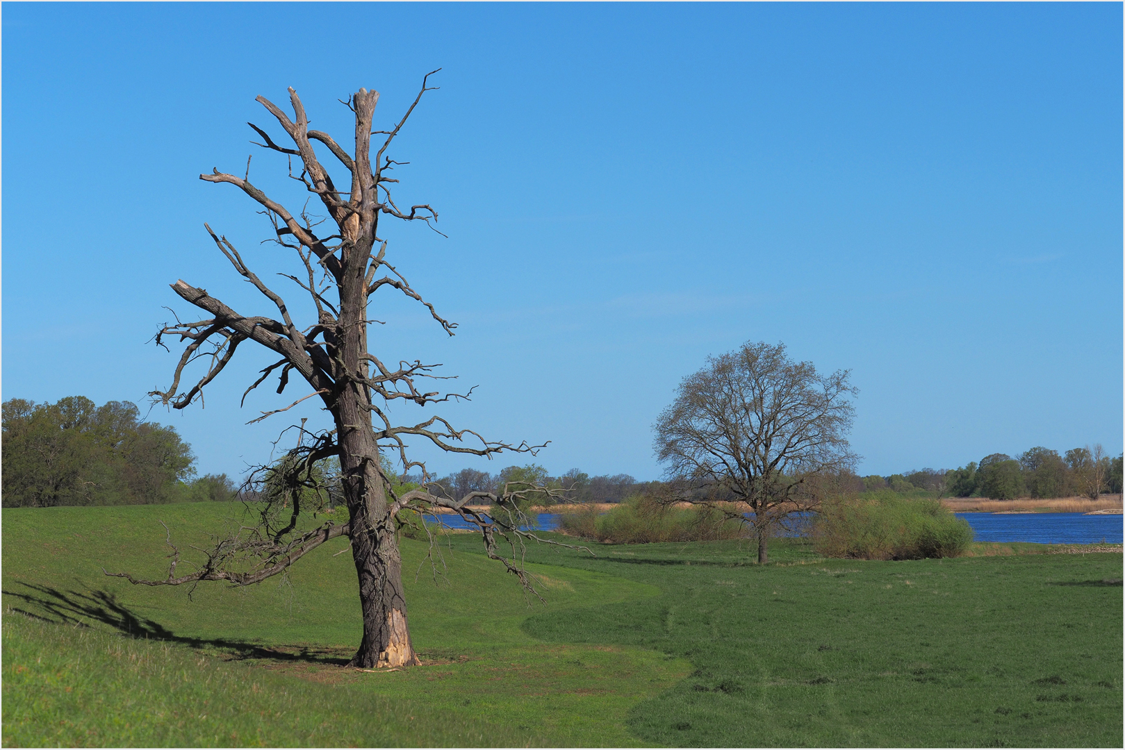 Heute  in der Elbaue