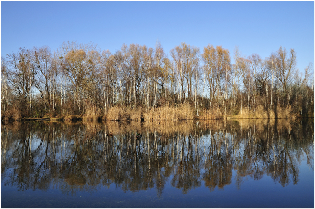 Heute in der Lobau