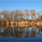 Heute in der Lobau