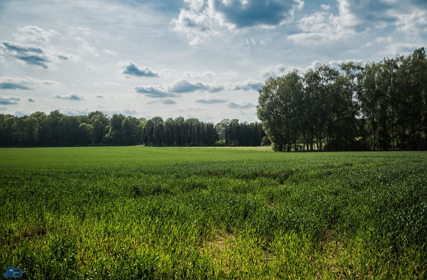 Heute in der Ried