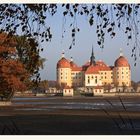 Heute in Moritzburg 3