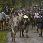 Heute in Oberstdorf 2