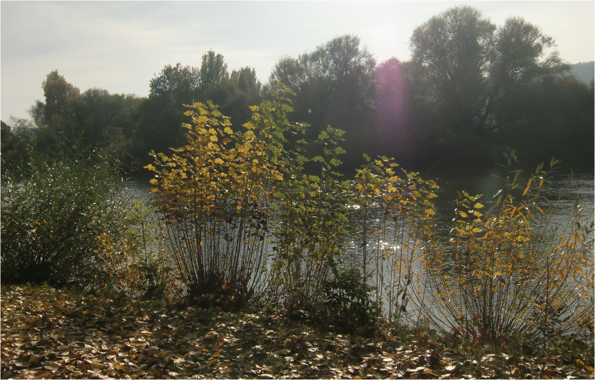 heute in Randersacker (2)