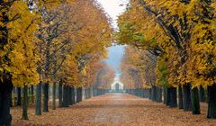 Heute in Schönbrunn