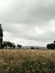 Heute in Thüringen