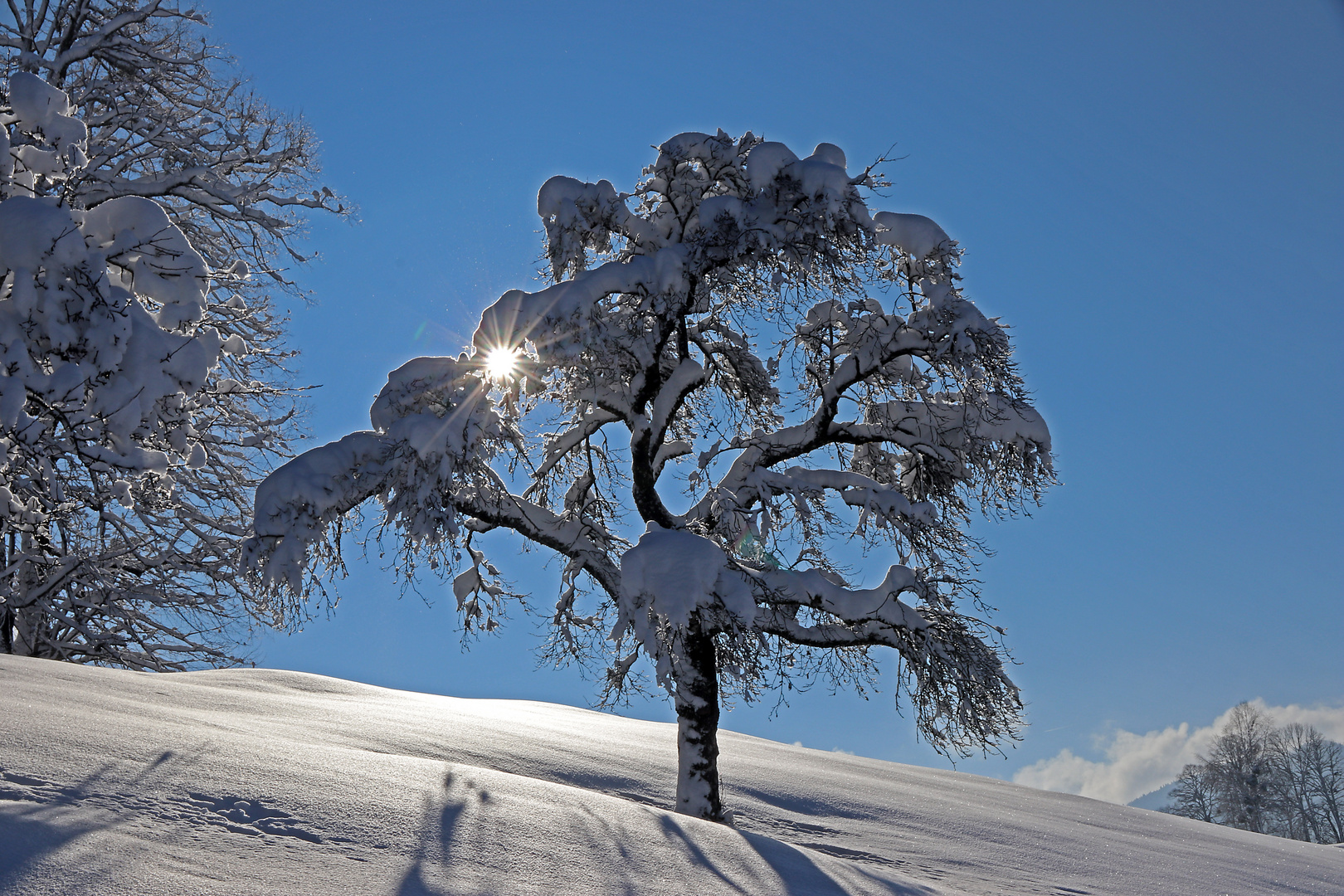 Heute Ist Astronomischer Winteranfang Foto Bild Landschaften Sonne Winter Bilder Auf Fotocommunity