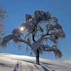 Heute ist astronomischer Winteranfang