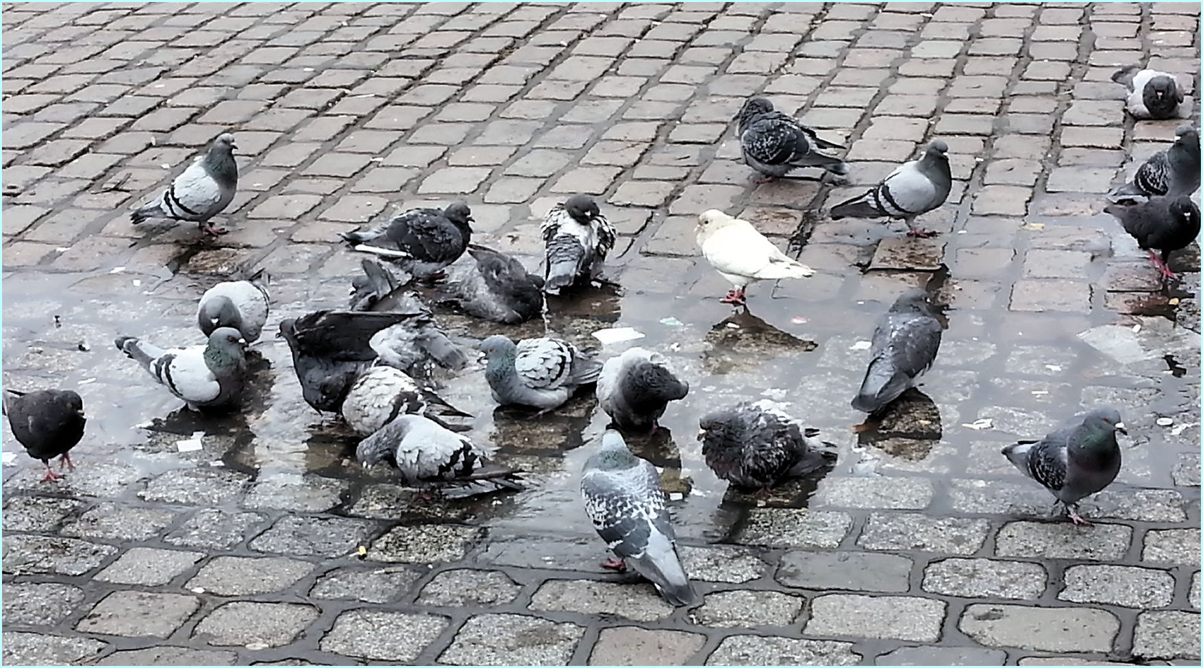 "Heute ist Badetag auf dem Marktplatz"