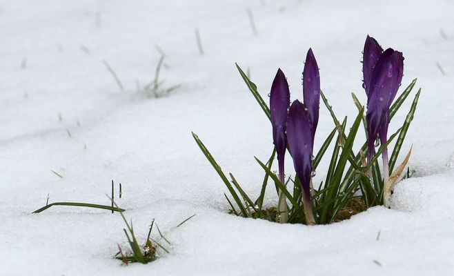 Heute ist 'Blümchen-Tag'... 