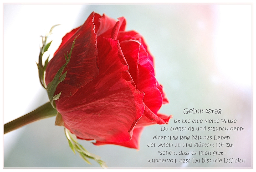 heute ist Dein Tag..... Foto & Bild karten und kalender